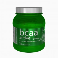BCAA Active 500 g.